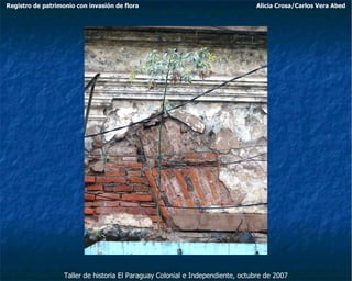 Taller de historia El Paraguay Colonial e Independiente, octubre de 2007 Registro de patrimonio con invasión de flora Alicia Crosa/Carlos Vera Abed 