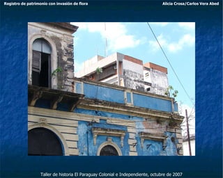 Taller de historia El Paraguay Colonial e Independiente, octubre de 2007 Registro de patrimonio con invasión de flora Alicia Crosa/Carlos Vera Abed 
