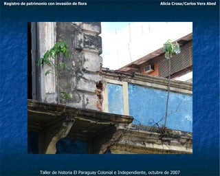 Taller de historia El Paraguay Colonial e Independiente, octubre de 2007 Registro de patrimonio con invasión de flora Alicia Crosa/Carlos Vera Abed 