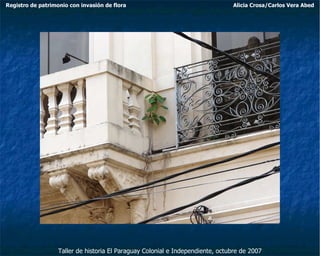 Registro de patrimonio con invasión de flora Alicia Crosa/Carlos Vera Abed Taller de historia El Paraguay Colonial e Independiente, octubre de 2007 