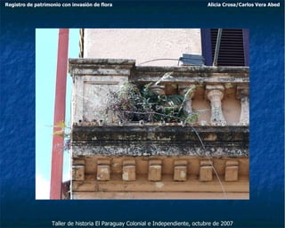 Taller de historia El Paraguay Colonial e Independiente, octubre de 2007 Registro de patrimonio con invasión de flora Alicia Crosa/Carlos Vera Abed 