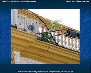 Taller de historia El Paraguay Colonial e Independiente, octubre de 2007 Registro de patrimonio con invasión de flora Alicia Crosa/Carlos Vera Abed 