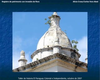 Taller de historia El Paraguay Colonial e Independiente, octubre de 2007 Registro de patrimonio con invasión de flora Alicia Crosa/Carlos Vera Abed 