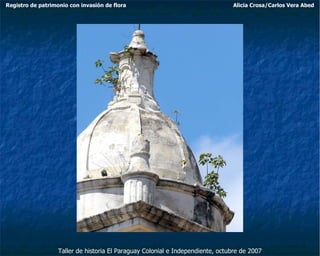 Taller de historia El Paraguay Colonial e Independiente, octubre de 2007 Registro de patrimonio con invasión de flora Alicia Crosa/Carlos Vera Abed 