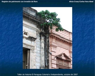 Taller de historia El Paraguay Colonial e Independiente, octubre de 2007 Registro de patrimonio con invasión de flora Alicia Crosa/Carlos Vera Abed 