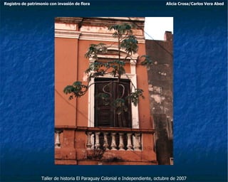 Taller de historia El Paraguay Colonial e Independiente, octubre de 2007 Registro de patrimonio con invasión de flora Alicia Crosa/Carlos Vera Abed 