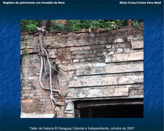 Taller de historia El Paraguay Colonial e Independiente, octubre de 2007 Registro de patrimonio con invasión de flora Alicia Crosa/Carlos Vera Abed 