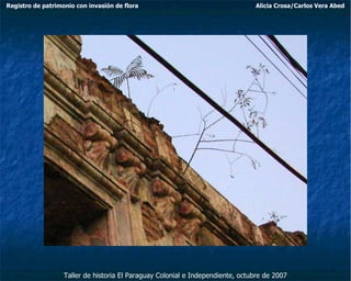 Taller de historia El Paraguay Colonial e Independiente, octubre de 2007 Registro de patrimonio con invasión de flora Alicia Crosa/Carlos Vera Abed 