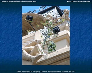 Taller de historia El Paraguay Colonial e Independiente, octubre de 2007 Registro de patrimonio con invasión de flora Alicia Crosa/Carlos Vera Abed 