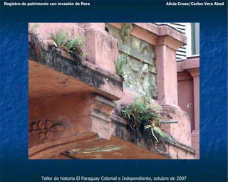 Taller de historia El Paraguay Colonial e Independiente, octubre de 2007 Registro de patrimonio con invasión de flora Alicia Crosa/Carlos Vera Abed 