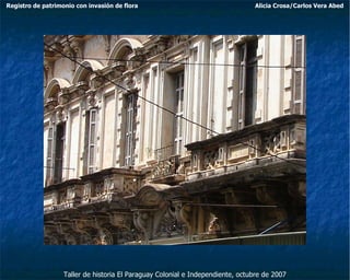 Taller de historia El Paraguay Colonial e Independiente, octubre de 2007 Registro de patrimonio con invasión de flora Alicia Crosa/Carlos Vera Abed 