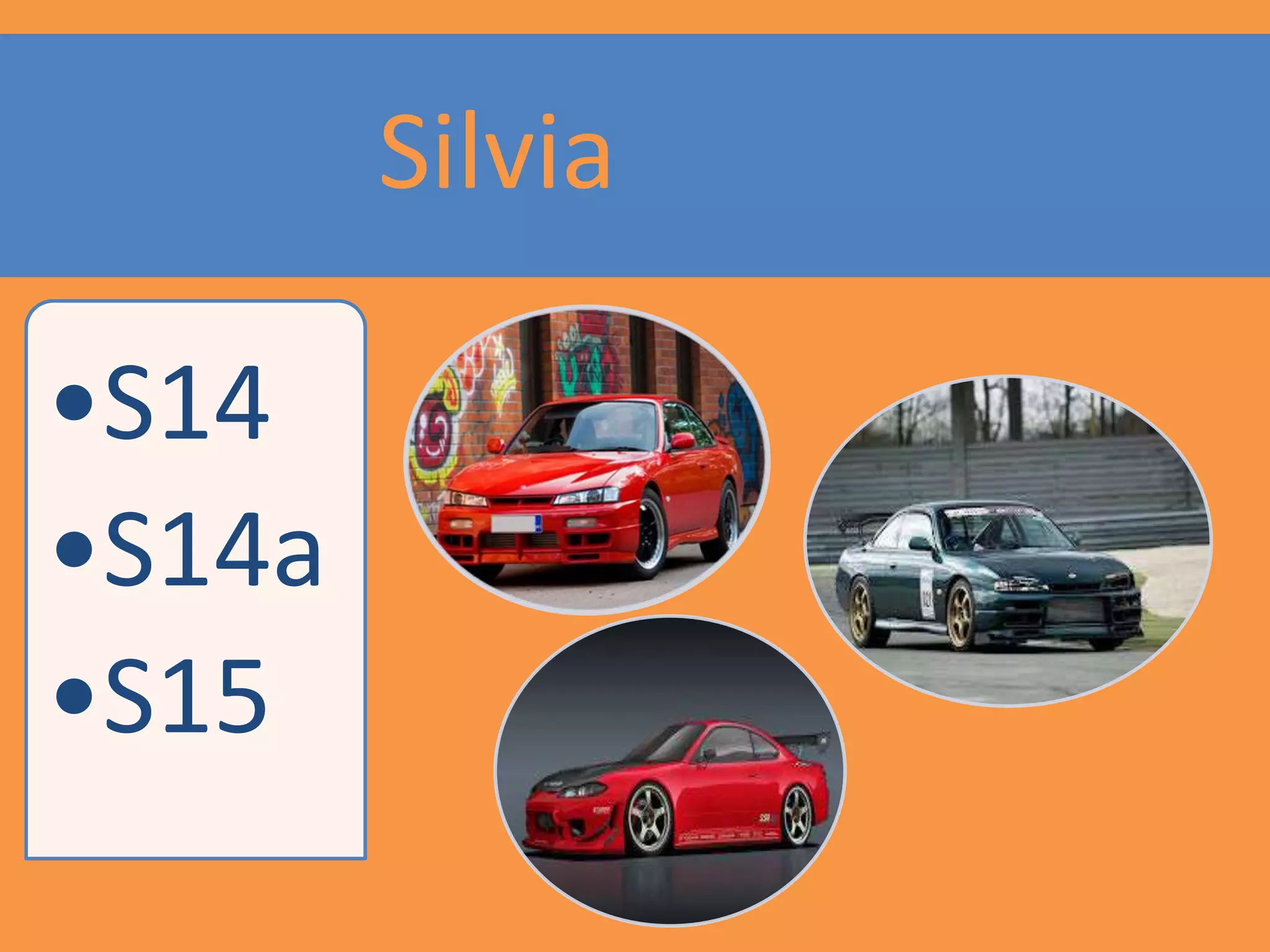 •S14
•S14a
•S15
Silvia