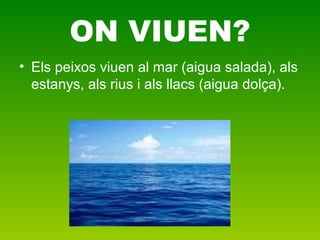 ON VIUEN?
• Els peixos viuen al mar (aigua salada), als
estanys, als rius i als llacs (aigua dolça).
 