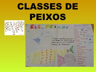 CLASSES DE
PEIXOS
 
