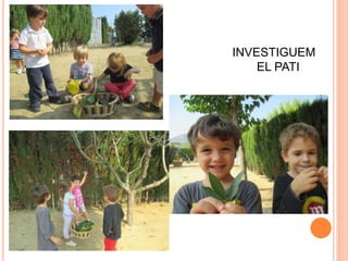 INVESTIGUEM
EL PATI