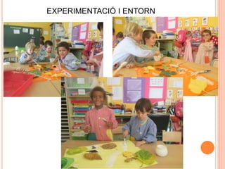 EXPERIMENTACIÓ I ENTORN