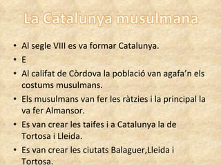 Al segle VIII es va formar Catalunya. E Al califat de Còrdova la població van agafa’n els costums musulmans. Els musulmans van fer les ràtzies i la principal la va fer Almansor. Es van crear les taifes i a Catalunya la de Tortosa i Lleida. Es van crear les ciutats Balaguer,Lleida i Tortosa. 