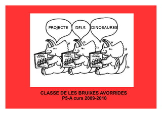 CLASSE DE LES BRUIXES AVORRIDES  P5-A curs 2009-2010 