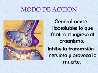 MODO DE ACCION
Generalmente
liposolubles lo que
facilita el ingreso al
organismo.
Inhibe la transmisión
nerviosa y provoca la
muerte.
 