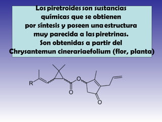 Los piretroides son sustancias
químicas que se obtienen
por síntesis y poseen una estructura
muy parecida a las piretrinas.
Son obtenidas a partir del
Chrysantemun cinerariaefolium (flor, planta)
 