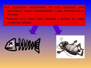 Son excelentes insecticidas, de baja toxicidad para
mamíferos, mayor fotoestabilidad y baja persistencia en
el suelo.
Producto muy tóxico para insectos y formas de vidas
acuáticas (peces)
 