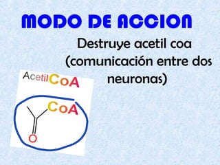 MODO DE ACCION
Destruye acetil coa
(comunicación entre dos
neuronas)
 