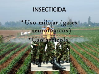 INSECTICIDA
• Uso militar (gases
neurotóxicos)
• Uso agrícola
 