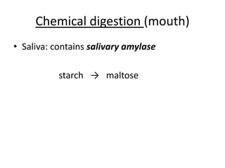 Chemicaldigestion(mouth)Saliva: containssalivaryamylasestarch   ->   maltose
