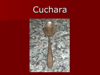 Cuchara