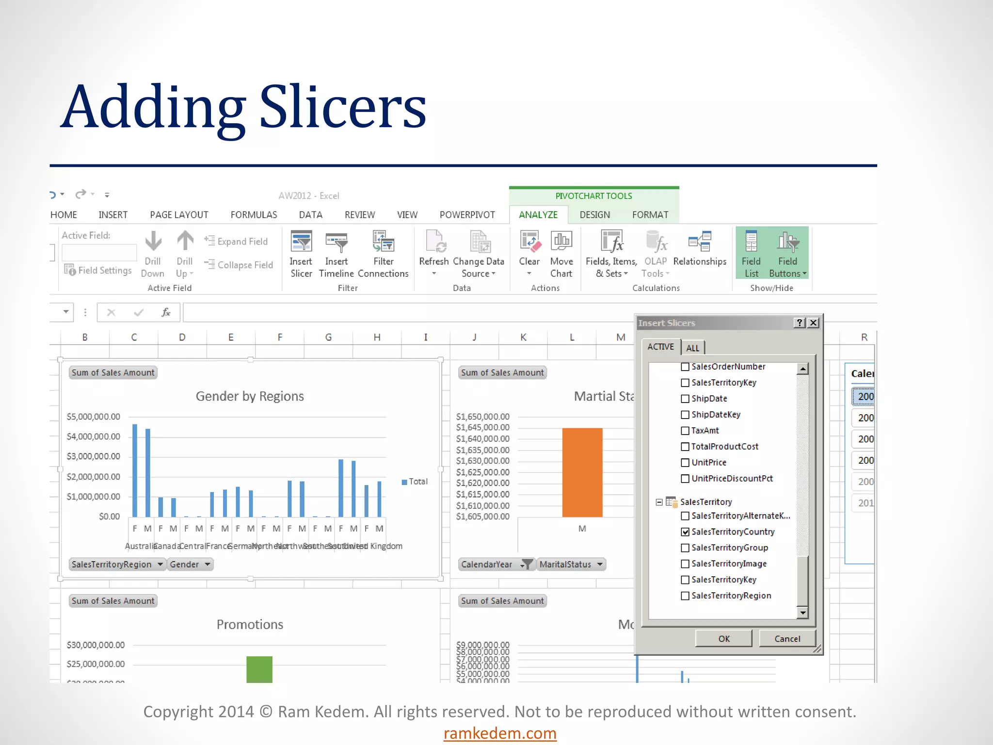 Copyright 2014 © Ram Kedem. All rights reserved. Not to be reproduced without written consent.
ramkedem.com
Adding Slicers
 