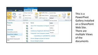 This is a 
PowerPivot 
Gallery installed 
on a SharePoint 
Web Site. 
There are 
multiple Views 
of the 
documents 
 