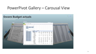 PowerPivot Gallery – Carousal View 
40 
 