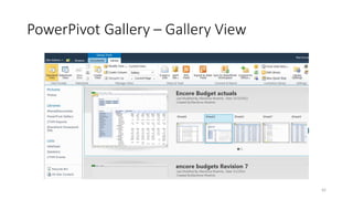 PowerPivot Gallery – Gallery View 
42 
 
