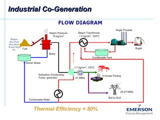 Industrial Co-GenerationIndustrial Co-Generation
Bagasse
Rice Husk
Rice Straw
Wood Chips
Etc.
Thermal Efficiency = 80%
 
