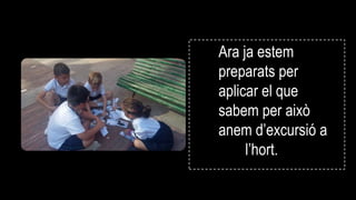 Ara ja estem
preparats per
aplicar el que
sabem per això
anem d’excursió a
l’hort.
 