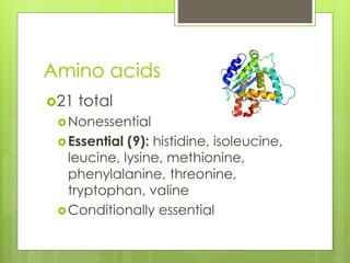 Amino acids
21 total
Nonessential
Essential (9): histidine, isoleucine,
leucine, lysine, methionine,
phenylalanine, threonine,
tryptophan, valine
Conditionally essential
 