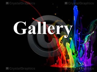 Gallery
 