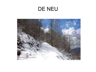 DE NEU