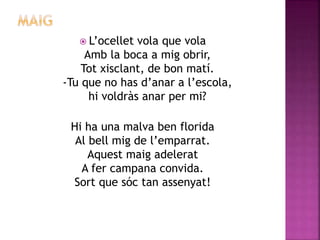  L’ocellet vola que vola 
Amb la boca a mig obrir, 
Tot xisclant, de bon matí. 
-Tu que no has d’anar a l’escola, 
hi voldràs anar per mi? 
Hi ha una malva ben florida 
Al bell mig de l’emparrat. 
Aquest maig adelerat 
A fer campana convida. 
Sort que sóc tan assenyat! 
 