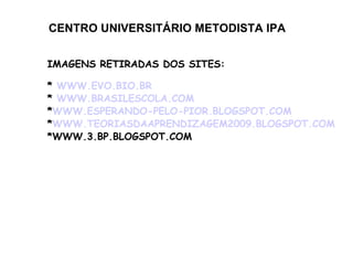 CENTRO UNIVERSITÁRIO METODISTA IPA IMAGENS RETIRADAS DOS SITES: *  WWW.EVO.BIO.BR *  WWW.BRASILESCOLA.COM * WWW.ESPERANDO-PELO-PIOR.BLOGSPOT.COM * WWW.TEORIASDAAPRENDIZAGEM2009.BLOGSPOT.COM *WWW.3.BP.BLOGSPOT.COM 