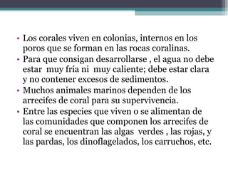 • Los corales viven en colonias, internos en los
  poros que se forman en las rocas coralinas.
• Para que consigan desarrollarse , el agua no debe
  estar muy fría ni muy caliente; debe estar clara
  y no contener excesos de sedimentos.
• Muchos animales marinos dependen de los
  arrecifes de coral para su supervivencia.
• Entre las especies que viven o se alimentan de
  las comunidades que componen los arrecifes de
  coral se encuentran las algas verdes , las rojas, y
  las pardas, los dinoflagelados, los carruchos, etc.
 