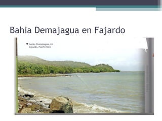 Bahia Demajagua en Fajardo
 