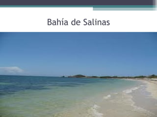 Bahía de Salinas
 