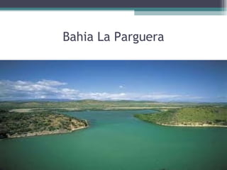 Bahia La Parguera
 