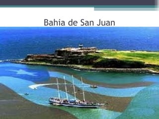 Bahia de San Juan
 