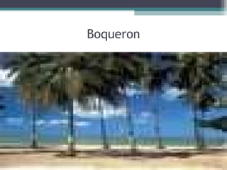 Boqueron
 