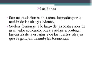 Las dunas

• Son acumulaciones de arena, formadas por la
  acción de las olas y el viento.
• Suelen formarse a lo largo de las costa y son de
  gran valor ecológico, pues ayudan a proteger
  las costas de la erosión y de los fuertes oleajes
  que se generan durante las tormentas.
 