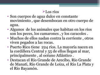 Los ríos
•   Son cuerpos de agua dulce en constante
    movimiento , que desembocan en otro cuerpo de
    agua.
•   Algunos de los animales que habitan en los rios
    son los peces, los camarones , y los caracoles .
•   Muchos de ellos nadan contra la corriente , otros
    viven pegados a las rocas.
•   Puerto Rico tiene 224 ríos. La mayoría nacen en
    la cordillera Central y 55 de ellos llegan al mar,
    principalmente , al océano Atlántico .
•   Destacan el Río Grande de Arecibo, Río Grande
    de Manatí, Río Grande de Loíza, el Río La Plata y
    el Río Bayamón.
 