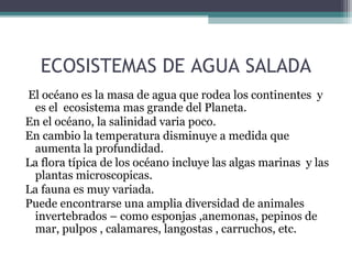 ECOSISTEMAS DE AGUA SALADA
El océano es la masa de agua que rodea los continentes y
 es el ecosistema mas grande del Planeta.
En el océano, la salinidad varia poco.
En cambio la temperatura disminuye a medida que
 aumenta la profundidad.
La flora típica de los océano incluye las algas marinas y las
 plantas microscopicas.
La fauna es muy variada.
Puede encontrarse una amplia diversidad de animales
 invertebrados – como esponjas ,anemonas, pepinos de
 mar, pulpos , calamares, langostas , carruchos, etc.
 