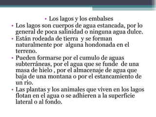 • Los lagos y los embalses
•   Los lagos son cuerpos de agua estancada, por lo
    general de poca salinidad o ninguna agua dulce.
•   Están rodeada de tierra y se forman
    naturalmente por alguna hondonada en el
    terreno.
•   Pueden formarse por el cumulo de aguas
    subterráneas, por el agua que se funde de una
    masa de hielo , por el almacenaje de agua que
    baja de una montana o por el estancamiento de
    un rio.
•   Las plantas y los animales que viven en los lagos
    flotan en el agua o se adhieren a la superficie
    lateral o al fondo.
 